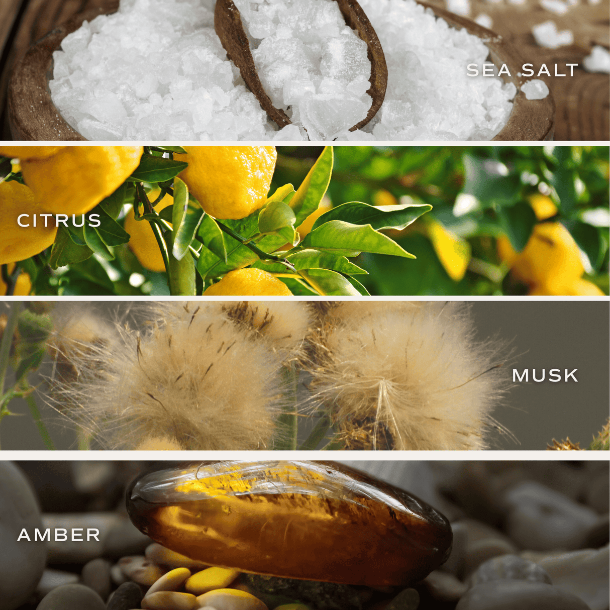 Salt and Sea Soy Candle - White Jar - 11 oz