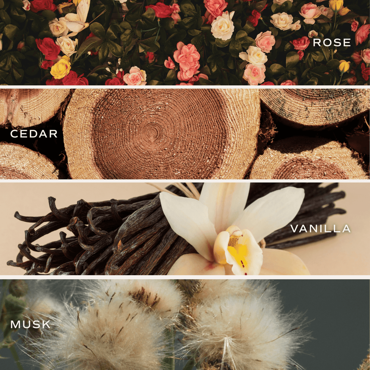 Sandalwood Rose Clear Reed Diffuser