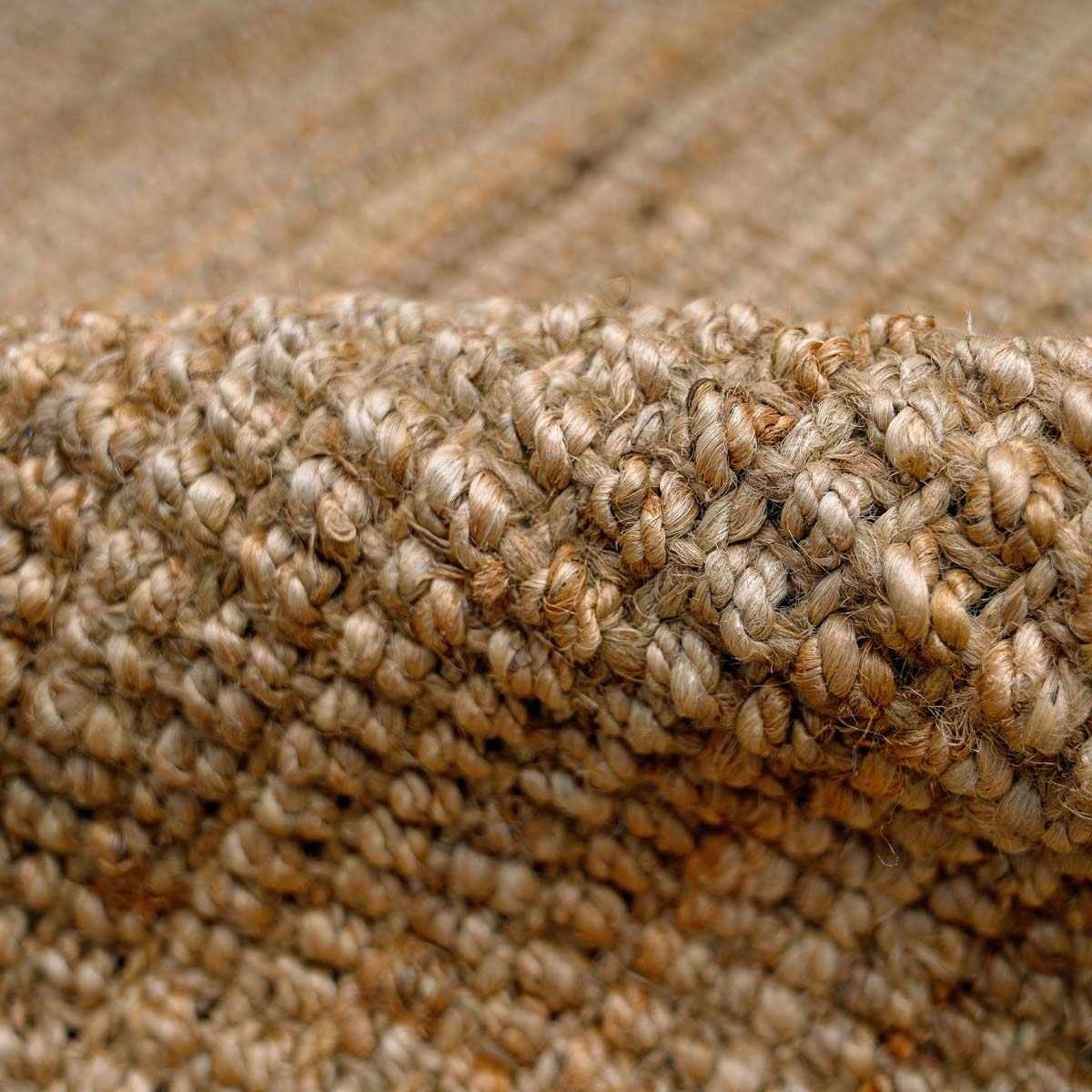 Ambel Chocolate Brown Camel Jute Area Rug