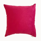 Reversible Velvet Pillow