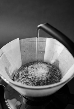 Sibarist Filters - FAST FLAT MEDIUM