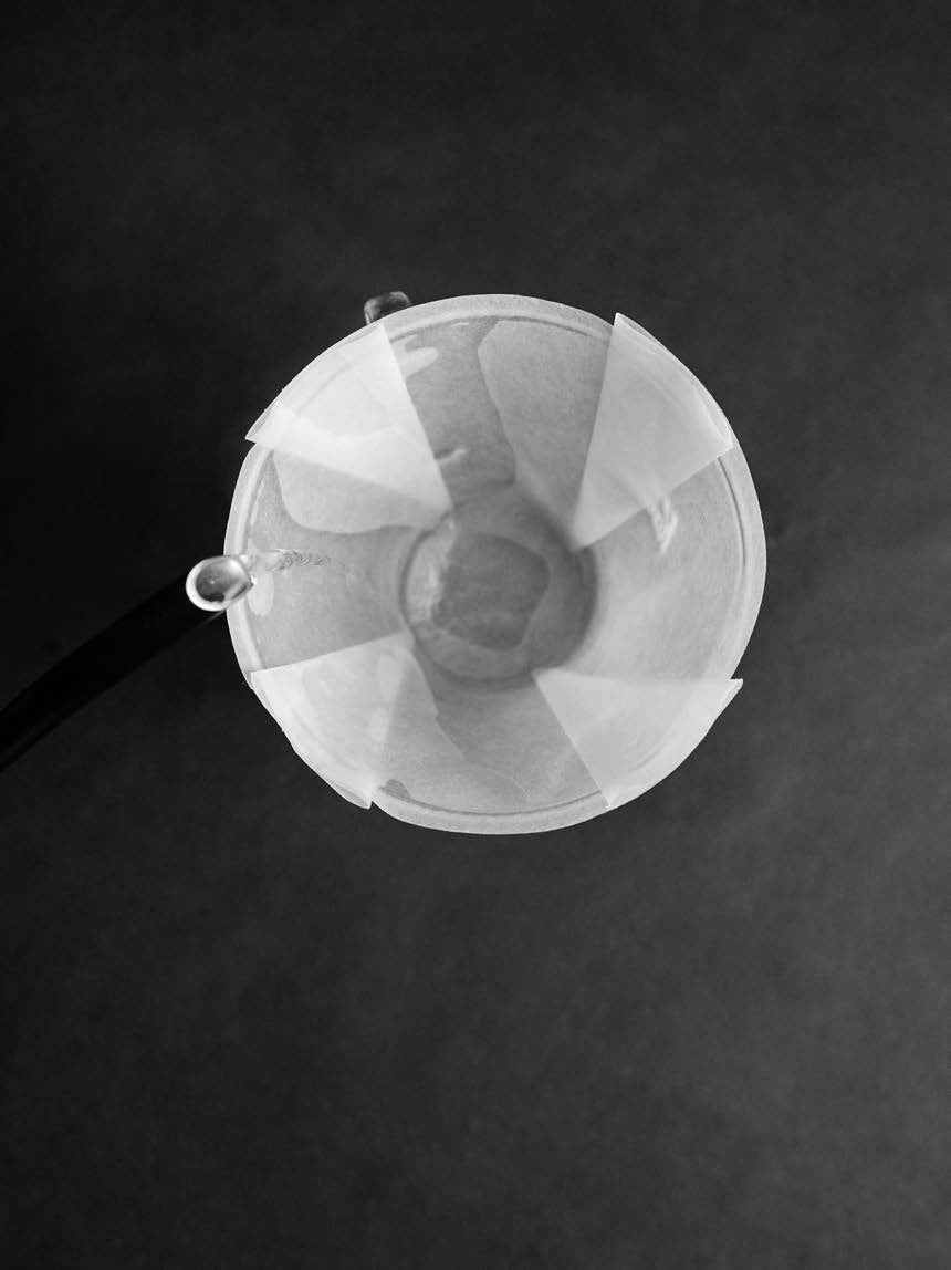 Sibarist Filters - FAST FLAT MEDIUM