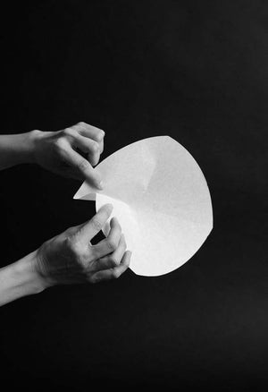 Sibarist Filters - FAST FLAT MEDIUM