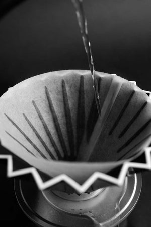 Sibarist Filters - SMALL CONE for 01