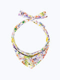 RAINBOW BANDANAS