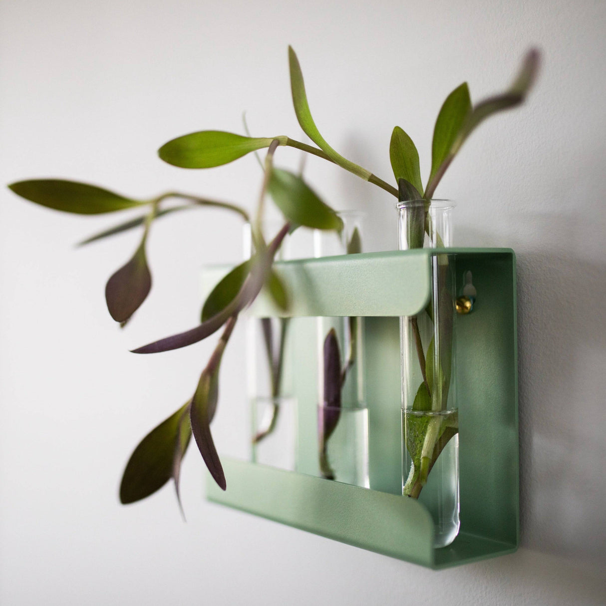 Propagation Station