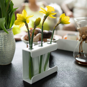 Propagation Station