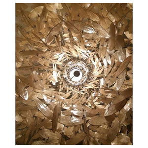 Shell Chandelier