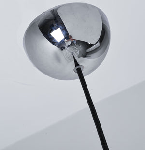 Shell Pendant Light