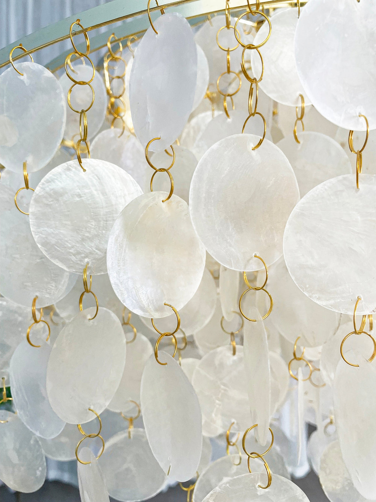 Shell Pendant Light