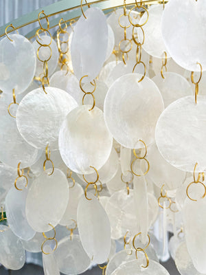 Shell Pendant Light