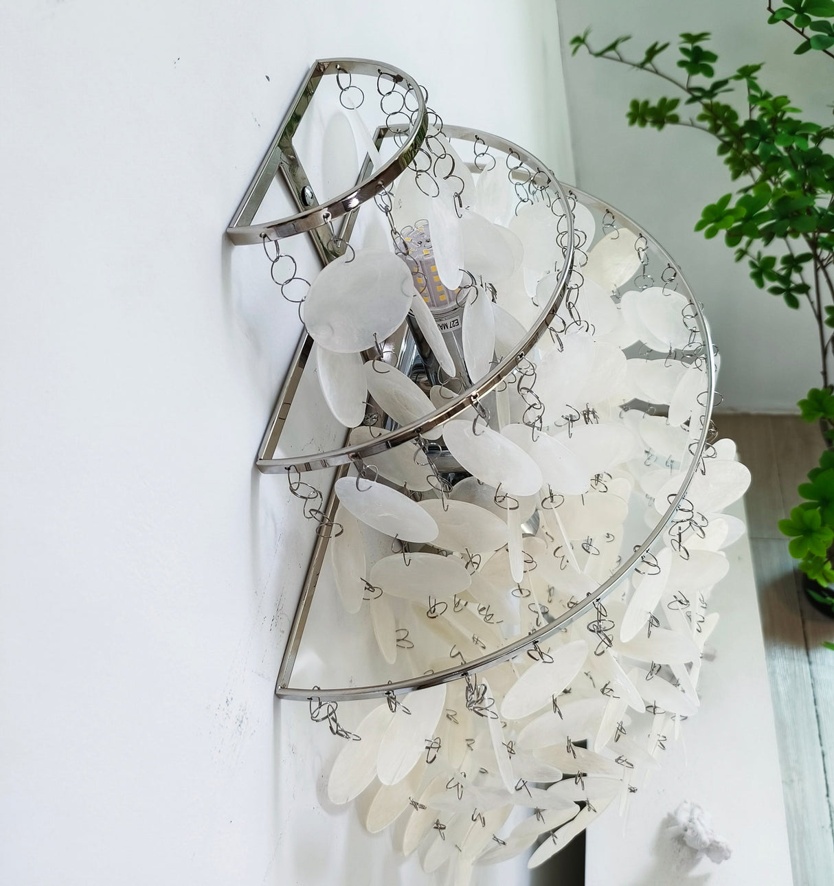 Shell Wall lamp