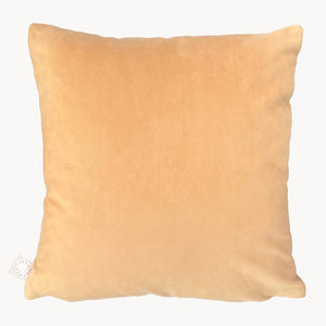 Reversible Velvet Pillow