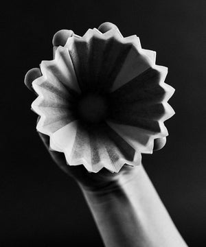 SIBARIST ORIGAMI Special Edition Fast Flat Filter - for ORIGAMI Small
