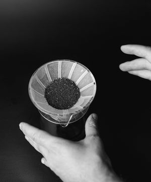 SIBARIST UFO Special Edition Fast Cone Filter - 100 Sheets