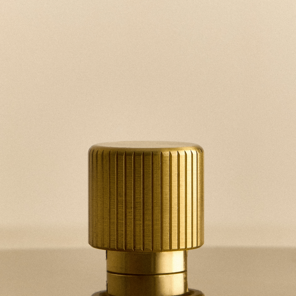 Double Rotary Wall Dimmer in Brass