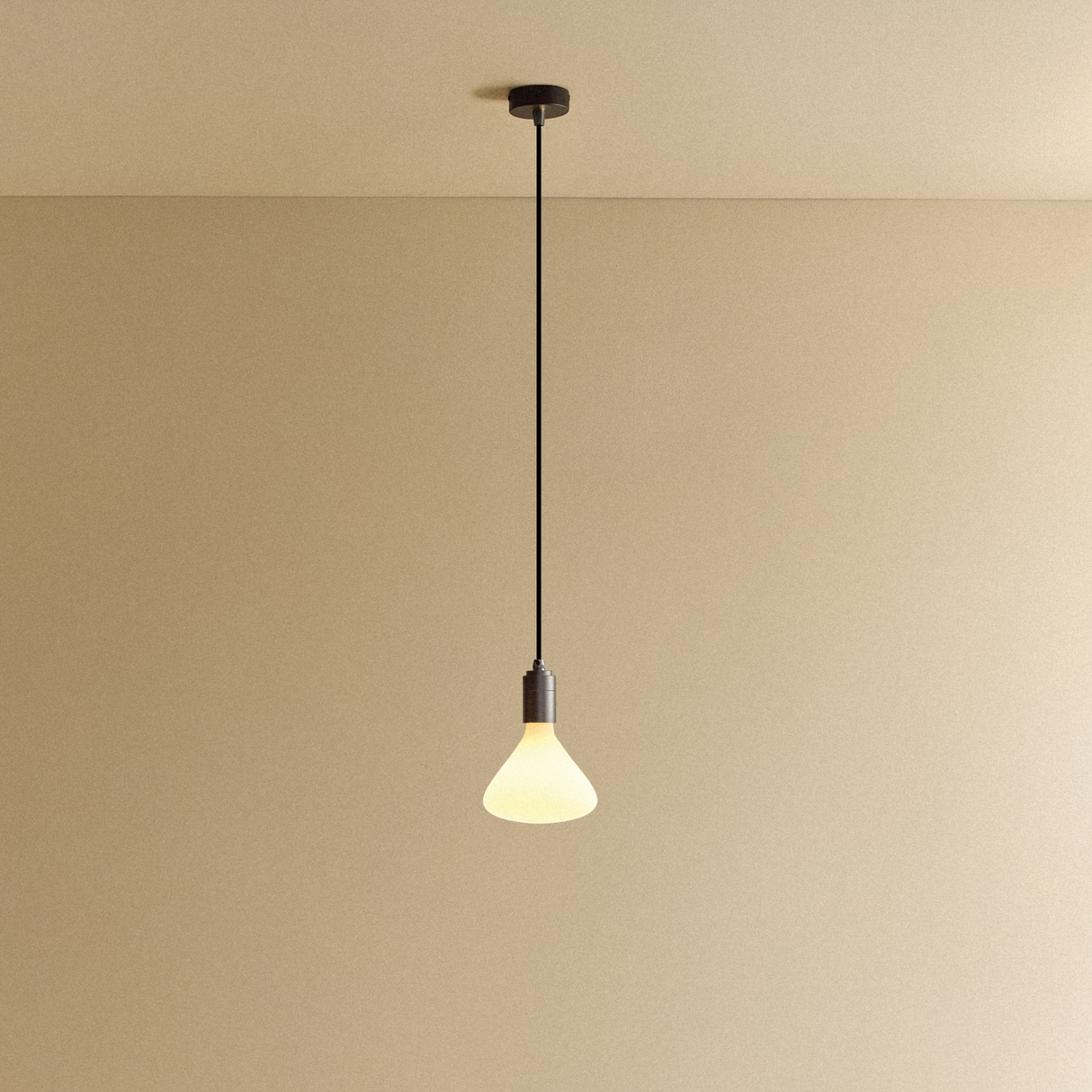 Noma Pendant Light in Graphite