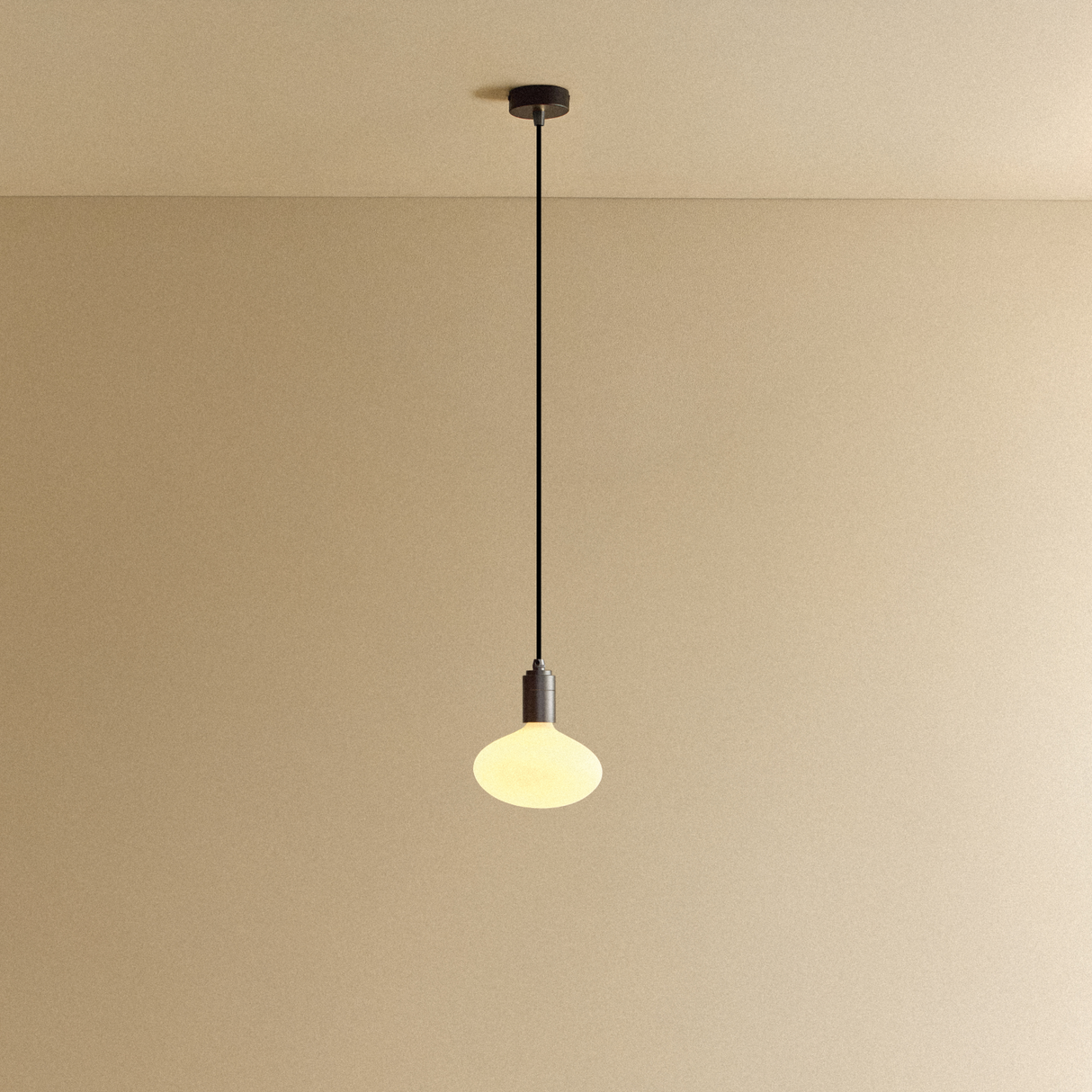 Oval Pendant Light in Graphite