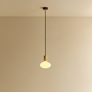 Oval Dim-to-Warm Pendant Light in Oak