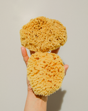 Mineral Sea Sponge