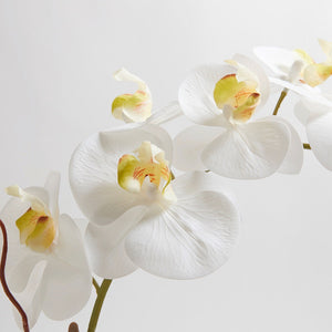 Artificial White Double Stem Orchid