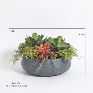 Round Artificial Succulent Arrangement, Gray Planter