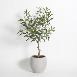 Artificial Olive Topiary Tree with Mediterranean Pot