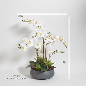 Artificial Orchid with Succulents