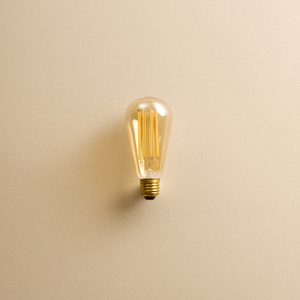 Squirrel Cage E26 LED Bulb