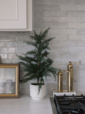 2' Faux Cedar Tree, Set of 2