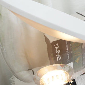 Taccia Glass Table Lamp