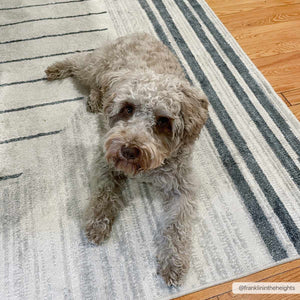 Thad Medium Gray Washable Area Rug