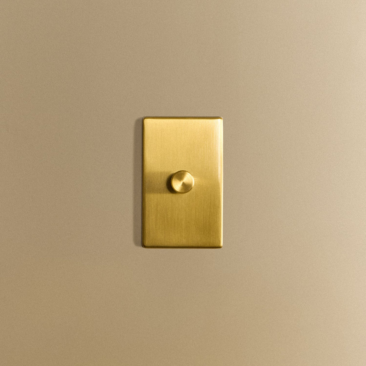 Single Rotary Wall Dimmer in Brass