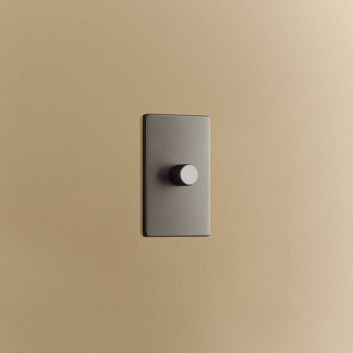 Single Rotary Wall Dimmer in Graphite