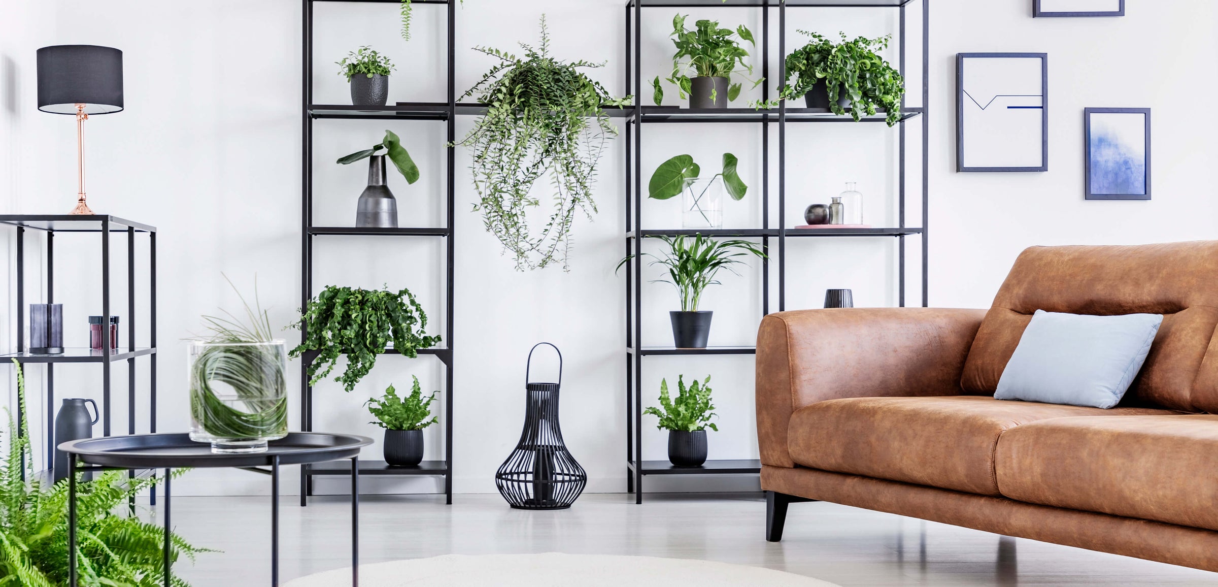 Bright living room filled with plants and home décor