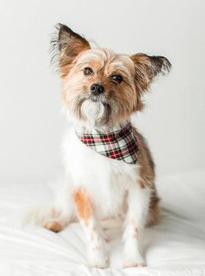 WINTER BANDANA