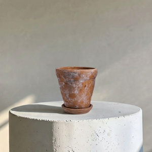 Venice Cement Planter with Dish and Drainage Hole, Handcrafted in Aged Terracotta, Medium & Large