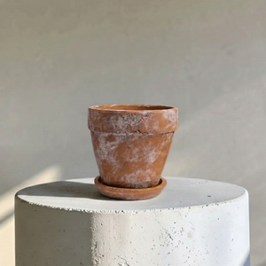 Venice Cement Planter with Dish and Drainage Hole, Handcrafted in Aged Terracotta, Large & Medium