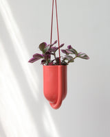 Portico Planter