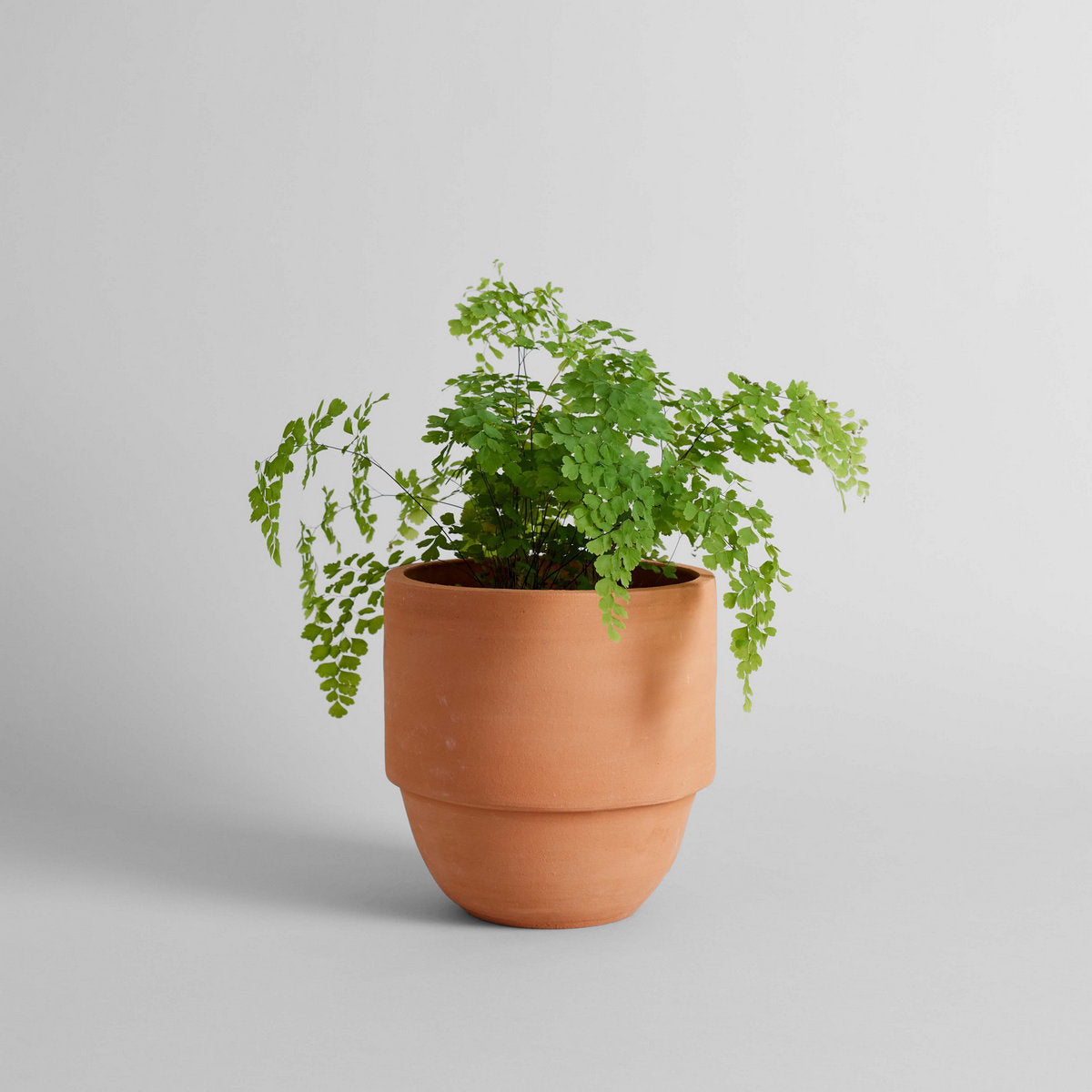 Big Cuff Planter