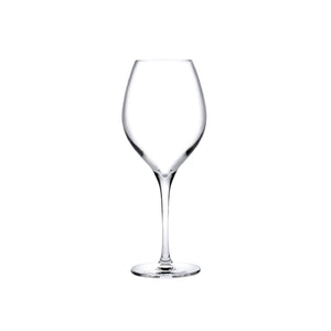 Vinifera Set of 2 White Wine Glasses 360 cc
