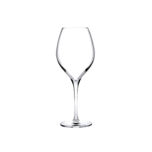 Vinifera Set of 2 White Wine Glasses 360 cc