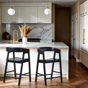 Ezra Modern Solid Wood Rounded Back Single Counter Stool