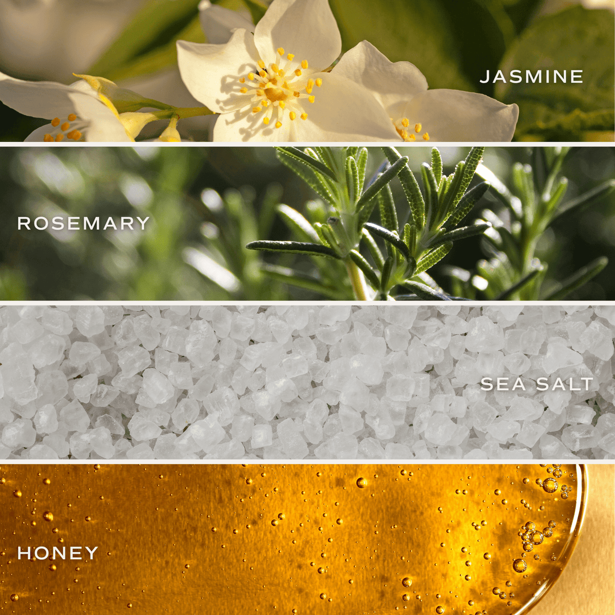 Wildflowers and Salt 4.6 oz Bath Bomb