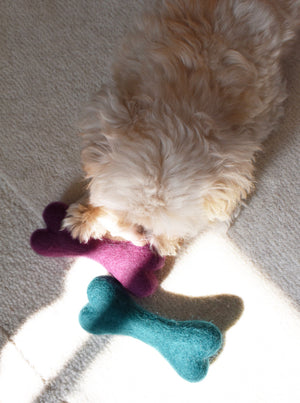 CLASSIC WOOLBONE DOG TOY