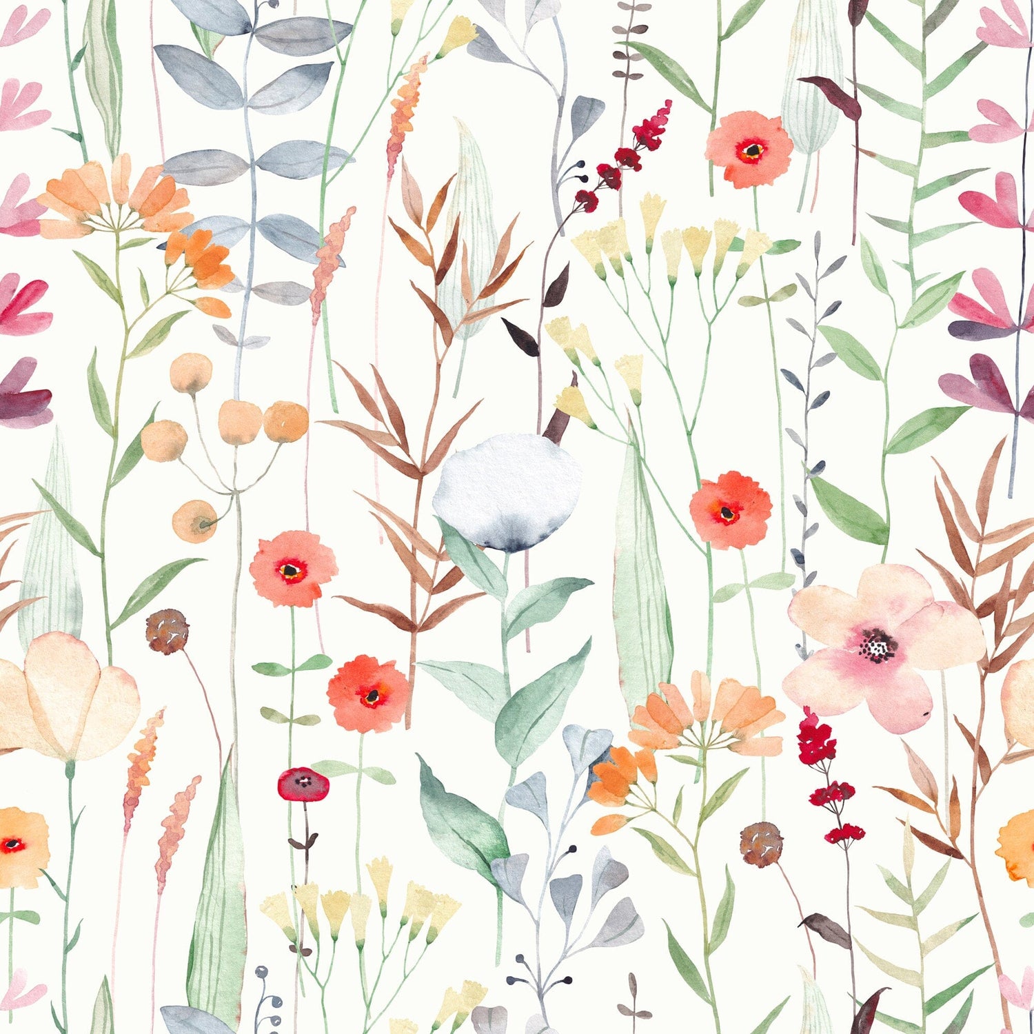 Colorful Wildflower Botanical Wallpaper