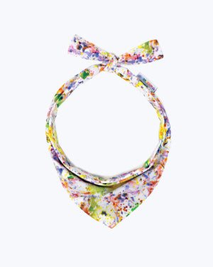 RAINBOW BANDANAS
