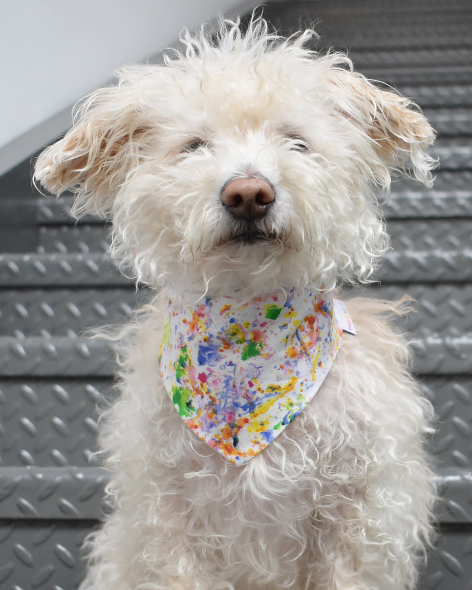 RAINBOW BANDANAS