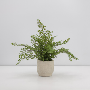 16" Faux Snake Plant & Fern Set
