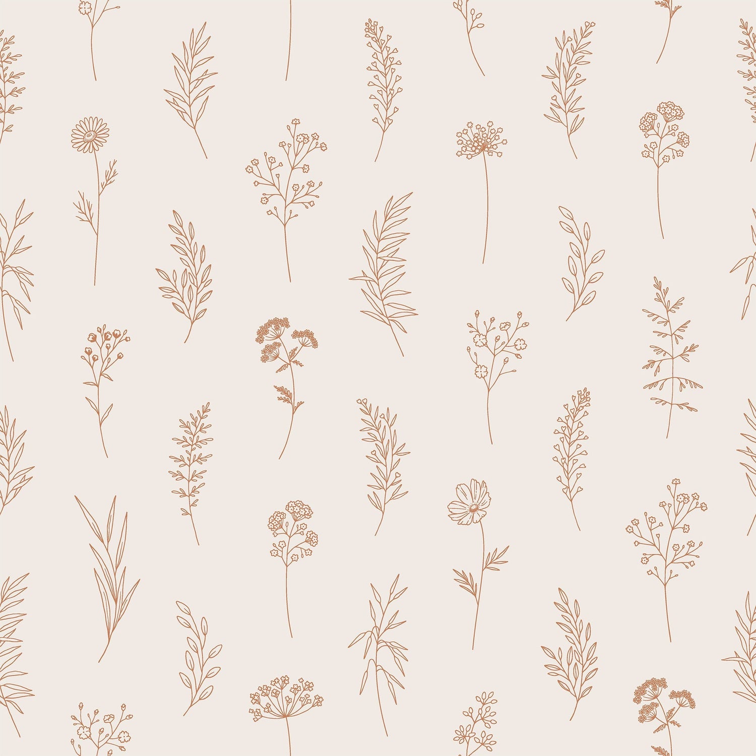 Modern Botanical Wallpaper Peel and Stick - Thin Line Wildflowers